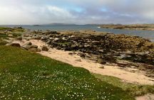 Connemara & Inishturk Island wildlife watching cruise. Private guided Full-day 