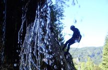 Private - Exclusive Bled Lake Canyoning Adventure