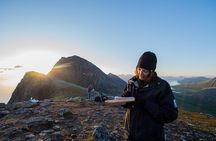 Tromsø: Midnight Sun Hike with Wandering Owl