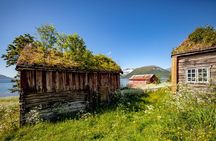 Summer Fjord Road Trip with Citizen Science with Wandering Owl