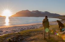 Tromsø: Midnight Sun with Campfire with Wandering Owl