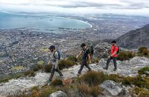 Hike Table Mountain with a Guide - Choose Route