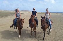 Aruba Horseback Riding Tour For Advanced Riders