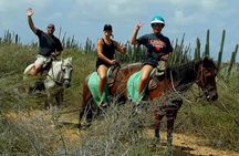 Private Sunset Horseback Ride