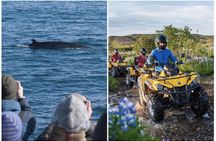Whale Watching & ATV Adventure from Reykjavik