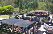 Tijuca Forest Jeep Tour