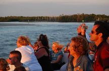 Gulf of Mexico Sunset Cruise from Naples