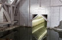 Auschwitz & Wieliczka ONE DAY Guided Tour +Private Transportation