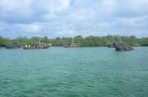 Kwale Island Dhow Sailing Tour from Zanzibar with Seafood Lunch