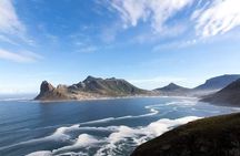 Cape Town Private Tour: Cape of Good hope & Boulders Penguins