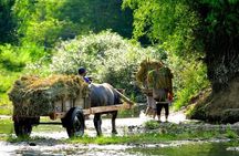 Trekking In Mai Chau - Pu Luong Nature Reserve Tour 3 Days 