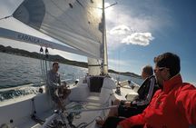 From Zadar: Private sports sailing tour