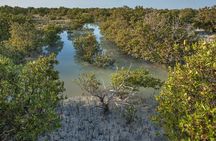  North Qatar Half-Day Tour: Al Zubarah, Purple Island & Mangroves