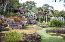 Sitio Roberto Burle Marx Guided Tour Ticket and Transfer