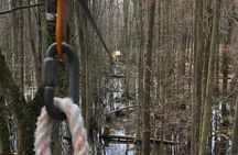 Wetland Zip Tour