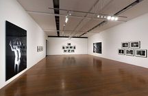 Museum of Modern Art in Rio de Janeiro Guided Tour, Admission & Transfer