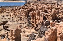 Half-Day Sal Island Tour with Shark Experience from Santa Maria