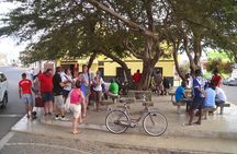 Half-Day Sal Island Tour with Shark Experience from Santa Maria