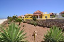 Half-Day Sal Island Tour with Shark Experience from Santa Maria