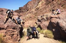 Lake Mead National Park ATV Tour to the Colorado River & Off-Road Racing Combo