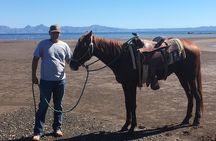 Horseback ride and witness magical sunset of Loreto, BCS