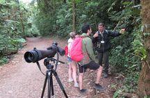 Walk in Santa Elena Cloud Forest Reserve