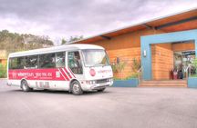 Yarra Valley Wine & Winery Tour from Melbourne - All Inclusive!