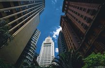 Sao Paulo (Private Car Guided Tour)