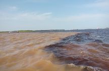 Taste of the Amazon Jungle 3D-2N-A Amazon Tapiri Floating Lodge 