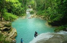 Horseback Riding, Blue Hole, Luminous Lagoon, River Tubing or Rafting Tour