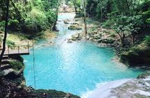 Horseback Riding, Blue Hole, Luminous Lagoon, River Tubing or Rafting Tour