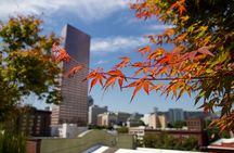 Aerial Tram and Rooftop Tour