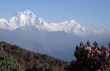 Nepal Round Tour with Annapurna Trek 14 Days