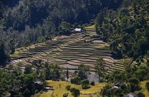 Nepal Round Tour with Annapurna Trek 14 Days