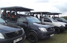 The Best Safari tour from Hambantota Port (Janaka safari)