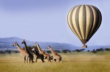 Classic Luxury 4 X 4 Masai Mara Safari 