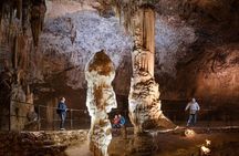 One guide - two ports - tours from Koper and Trieste