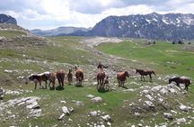 Durmitor Ring Tour
