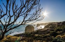 Great Ocean Road Tour with Instagram Sunset views at 12 Apostles from Melbourne