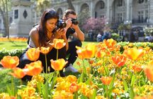 Iconic London Landmark Photography City Tour