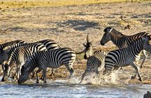 Hwange (Safari) Day Trip from Victoria Falls