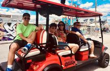1 Hour WYNWOOD BUGGIES tour