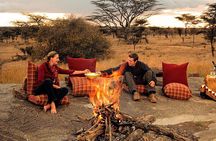 4 Days 3 Nights Tarangire Serengeti & Ngorongoro Lodge Safari