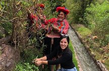 Experience the Magic of Andean Textiles: Weaving workshop - Cusco