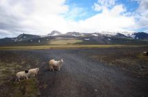 Snaefellsnes Peninsula Day Trip by Super Jeep from Reykjavik
