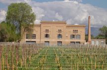 Maipú Wine-Tasting Tour from Mendoza Including Trapiche Winery