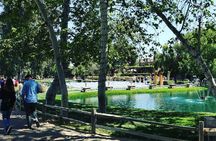 The Temecula Wine Tour from Anaheim 