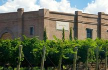 Full day Uco Valley Wine Experience with Salentein