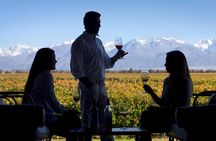 Full day Uco Valley Wine Experience with Salentein