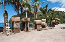 Pirates of the Caribbean SVG with Trubb Taxi Tours